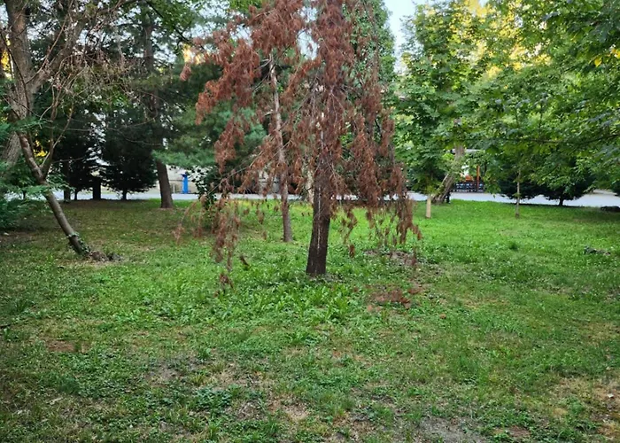 Crbn Di Sjk28